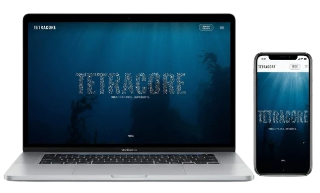 TETRACOREサイト表示例